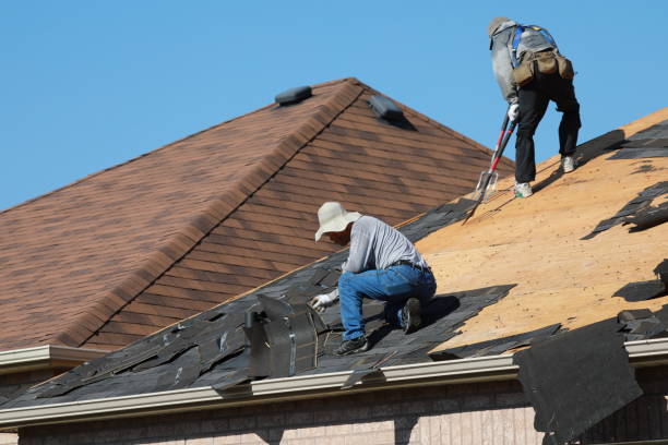 Best Roof Moss and Algae Removal  in Stem, NC